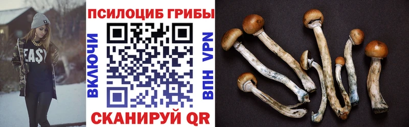Галлюциногенные грибы Psilocybe  Ступино 