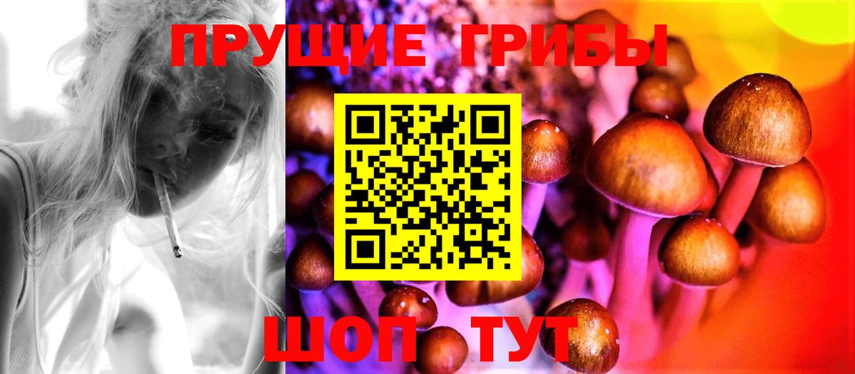 Галлюциногенные грибы Psilocybe  Вход с VPN  Псилоцибиновые грибы Magic Shrooms  Ступино 